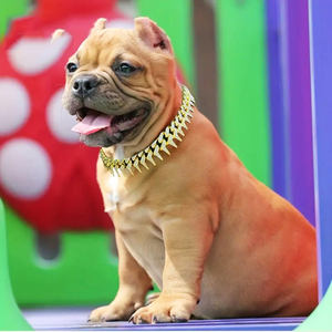 Hundehalsband im kubanischen Kettenstil, 20 mm, mit Dornen, Diamanten und Strasssteinen, luxuriöses Metallhalsband für Hunde - Product Image 4