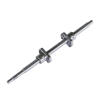 Motor Sekrup Bola Presisi Tinggi Zero Backlash Mini 4mm 6mm 8mm 10mm 12mm untuk Mesin CNC Printer 3D dan Perangkat Medis ISO9001