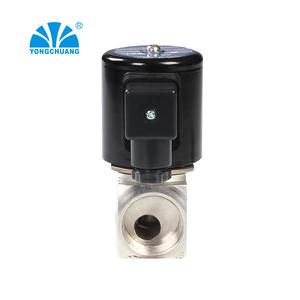 Vanne solénoïde à vapeur de type piston Yuyao Yongchuang ZCT pour les vannes de commande des nettoyeurs à vapeur - Product Image 3