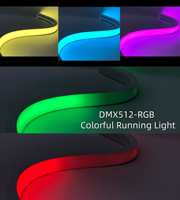 Bande lumineuse LED néon RGB DMX IP67 50*30mm 24V étanche pour façade de bâtiment, pixel adressable, lumière de scène colorée RGB DMX LED