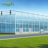 Serre intelligente agricole hollandaise à cadre froid en verre pour l'agriculture, la culture de légumes, tomates, concombres et laitues