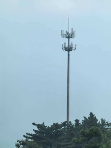 Pali di Comunicazione in Fibra di Vetro Tusheng a Lunghezza Personalizzabile, Adatti per Reti di Comunicazione <span class=keywords><strong>5G</strong></span> - Product Image 2