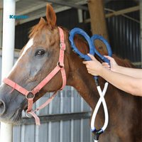 Équipements de physiothérapie Kaphatech, PEMF portable pour chevaux, boucle PMST pour vétérinaire équin
