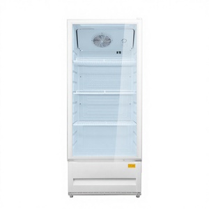 Refrigerador Comercial con Puerta de Vidrio, Eficiente Energéticamente, para Exhibición en Tiendas de Conveniencia, Enfriador de Bebidas y Cerveza Dss-326m* - Product Image 1
