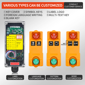 รีโมทคอนโทรลอุตสาหกรรมไร้สาย YU-2 สำหรับเครนสะพานแบบกันน้ำและกันฝุ่น ปรับแต่งได้ พร้อมระบบ Rolling Code สำหรับรอกยก - Product Image 3