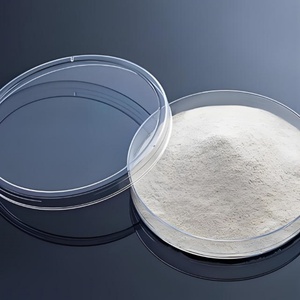 Poudre de <span class=keywords><strong>Gomme</strong></span> <span class=keywords><strong>Xanthane</strong></span>, Agent Auxiliaire Textile et Tensioactif pour Cuir, Additifs Pétroliers, Adsorbant de Gel de Silice, Conditionné en Sac - Product Image 2