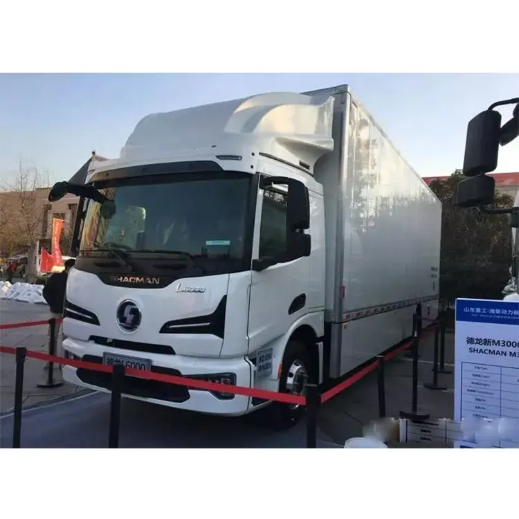 Camion di carico leggero Diesel Mini 4X4 e 4X2 da 5 tonnellate 10ton più economico