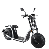 Cee COC 60V 20Ah Citycoco batterie 2000W/3000W/4000W Eu entrepôt Scooter électrique avec adulte