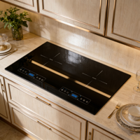 Kompor Induksi 2 Tungku 4800W Built-in, Dua Zona, Listrik, Kaca Keramik, Kontrol Sentuh, untuk Rumah, Dapur, Hotel