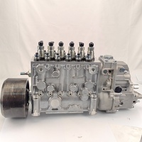 Bomba de inyección de combustible diésel 106673417C 106067648C con acoplamiento 106673-417C 106067-648C