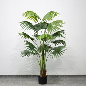 Palmier Kwai Arbre Bonsaï en Plastique pour la Décoration Intérieure, Ventilateur Artificiel, <span class=keywords><strong>Graine</strong></span> <span class=keywords><strong>de</strong></span> <span class=keywords><strong>Tournesol</strong></span>, 90cm - Product Image 6