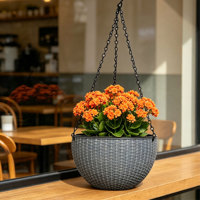 Grandes jardinières suspendues traditionnelles à double pot, auto-arrosantes, avec trou de drainage, pour intérieur et extérieur, en plastique, pour la maison et le jardin (lot)