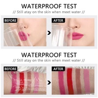 Stylo marqueur anti-taches OEM pour les lèvres Rose Rouge Nude Teinte pour les lèvres Imperméable à l'eau Séchage rapide Rouge à lèvres Crayon lisse à pointe précise