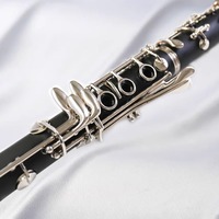 Clarinet Instrument Students Beginners Grade Band Play B-flat Woodwind Clarinet