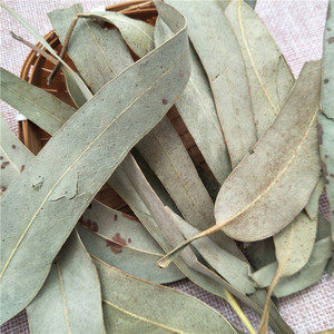 Huacan shu ye — thé à longue feuille <span class=keywords><strong>d</strong></span>'<span class=keywords><strong>eucalyptus</strong></span> vert naturel, séchées, à base <span class=keywords><strong>de</strong></span> plantes, nouvelle collection - Product Image 3