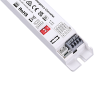 Convertisseur de tension d'urgence LED économique CB CE SAA 15-100mA, entrée 220V, pour éclairage de plafond de salle de restauration