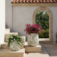 Grandes jardinières circulaires en ciment vintage pour intérieur/extérieur, avec trou de drainage, auto-arrosantes, durables, écologiques, 8L, sculptées à la main, pour la maison