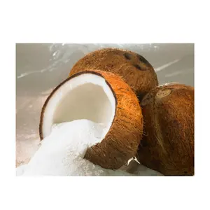 Plant Extract of Coconut Cream Powder Organic Instant Coconut Milk Food Ingredients for Cooking or Healthy Drink from Thailand