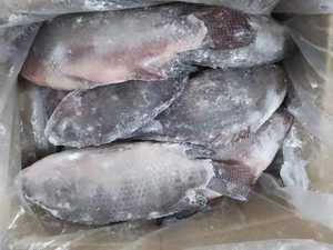 Dondurulmuş Siyah ve Kırmızı Tilapia Balığı/Dondurulmuş Deniz Ürünleri Taze Tilapia Dondurulmuş Tilapia Balığı - Product Image 3