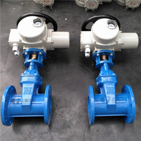 Vanne à opercule en acier inoxydable, Vanne à opercule pneumatique, Vanne à opercule pneumatique RV en fonte à bride SW 6 pouces manuelle JIS 10K 4 pouces ductile 6 pneumatique