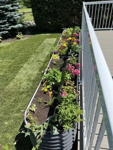 Lits de jardin surélevés en métal Jardinières d'extérieur en acier galvanisé