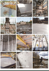 Ván Khuôn Bê Tông Nhựa Tái Sử Dụng Ván Khuôn Pp/Ván Khuôn Nhựa PP Rỗng - Product Image 6