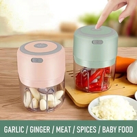 Presse-ail, hachoir à ail, mini hachoir électrique portable multifonctionnel, coupe-ail en ABS de qualité alimentaire, recharge USB, manuel, écologique