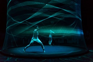 3D Holographic lưới màn hình máy chiếu pepperscrim hiển thị 3D Hologram, 3D Holographic Màn hình máy chiếu - Product Image 4