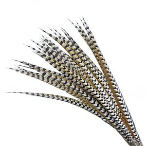 Plumas <span class=keywords><strong>de</strong></span> Cola <span class=keywords><strong>de</strong></span> Faisán Reeves <span class=keywords><strong>de</strong></span> 130 cm, <span class=keywords><strong>Venta</strong></span> al por Mayor, Plumas Crudas con Patrón, Plumas <span class=keywords><strong>de</strong></span> Faisán - Product Image 3