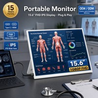 Moniteur de jeu portable FHD 15,6 pouces Type-C 1920x1080 72% SRGB IPS 300 nits pour PS5 Ordinateur portable PC OEM