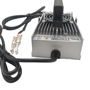 Cargador de Batería Compacto de 12V 3A para Baterías de Plomo-Ácido LiFePO4, para Sistemas Solares Domésticos y Respaldo de Energía - Product Image 4
