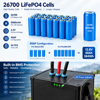 Paket Baterai LiFePO4 12.8V 30Ah 384Wh 26700 LFP Tahan Air IP67