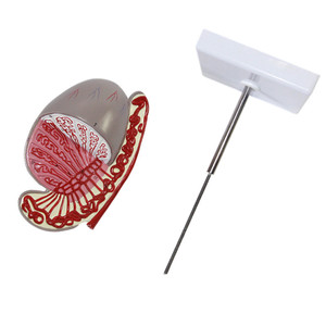 Mô hình dương vật bằng nhựa sciedu Mô hình giải phẫu 3.5 lần phóng đại Mô hình tinh hoàn cơ quan sinh dục nam - Product Image 5