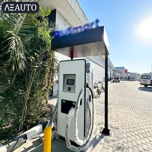 30kw/40kw/60kw/90kw/120kw/150kw/180kw/240kw 옵션 Chademo Ccs Gbt 전기 자동차 충전기 OCPP Ev Dc 고속 충전기