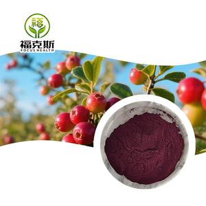 Yüksek Kaliteli Yaban Mersini Ekstresi %25 %36 Antosiyanin %100 Doğal Yaban Mersini Ekstresi Tozu En İyi Fiyatla Satılık - Product Image 4