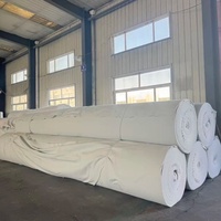 Geobag industriel en PP non tissé 100g-800g/ Haute résistance pour sous-couche routière et couche filtrante de drainage