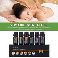 Coffret Cadeau d'Huiles Essentielles de Massage et de Soins Corporels Marque Privée, Pures Orange Douce, Eucalyptus, Menthe Poivrée, Lavande, Citronnelle et Arbre à Thé