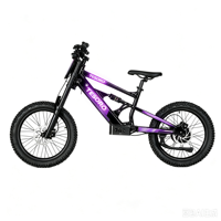 Bicicleta Eléctrica Infantil de 20 Pulgadas, 48V, 6.0AH, 1000W, Diseño sin Escobillas, Sensor Inteligente, Aleación de Aluminio y Litio, para Exteriores