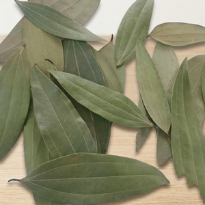 Vente en gros de feuilles de laurier séchées de qualité supérieure en vrac |   Exportateur d'épices de feuilles de laurier sans pesticide en provenance d'Inde – ITST Global Trade - Product Image 3