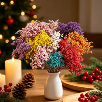 Fourniture d'usine : Herbe de cristal stabilisée multicolore, fleur séchée, sans eau, matériau sec pour bouquets de mariage et artisanat en gros