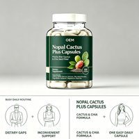Capsules de Nopal Cactus Plus en gros OEM, 150 unités, complément alimentaire pour distributeurs