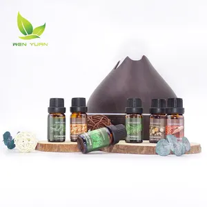 6 pièces ensemble 10ml Kit d'huile essentielle croissance cheveux soins du corps emballage bougie parfum en vrac vapeur Distillation huiles naturelles