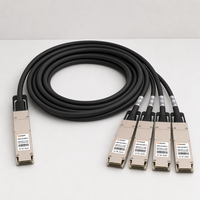Câble de dérivation DAC passif 800G OSFP Finned Top vers 4x200G OSFP pour Switch vers Serveur NIC Rack InfiniBand NDR