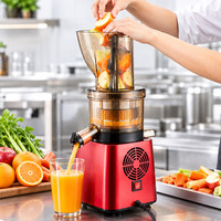 Stilte motor aangedreven koude pers sapcentrifuge voor keuken gebruik, voor verse fruit- en groentesappen, met 110V/220V compatibiliteit