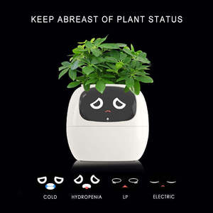 Maceta Inteligente con Sensor de IA, Linda Maceta para Mascotas con Absorción Automática de Agua, Recargable por USB, para Plantas de Interior - Product Image 1