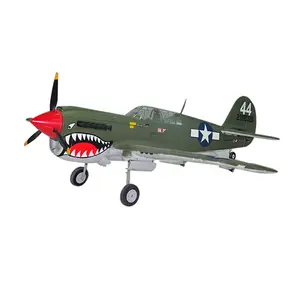 RC Airplane P-40 Warbird Cute Fighter Shark Airplane versione PNP regalo perfetto per principianti EPO Foam RC Aircraft Model