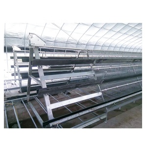 Giá tốt làm bằng vinyl tự động gia cầm trang trại một loại GÀ ĐẺ Pin gà lớp lồng - Product Image 5