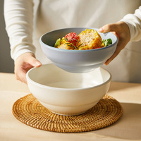Assiettes à steak en porcelaine colorées de conception nouvelle, style minimaliste nordique, compatibles micro-ondes, ensembles de vaisselle pour restaurants