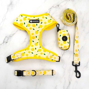طقم طوق وحزام للكلاب قابل للتعديل مع طباعة مخصصة وشعار حسب الطلب - Product Image 3