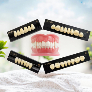 Tandheelkundige Verbruiksartikelen 3 Volledige Mondsets Twee Lagen 28*1 Kunststof Tanden Prothese Kunstgebit - Product Image 3